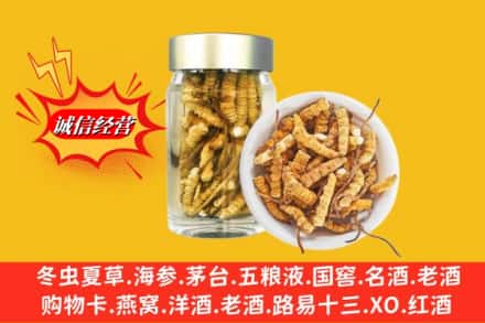 怀化市芷江回收散虫草